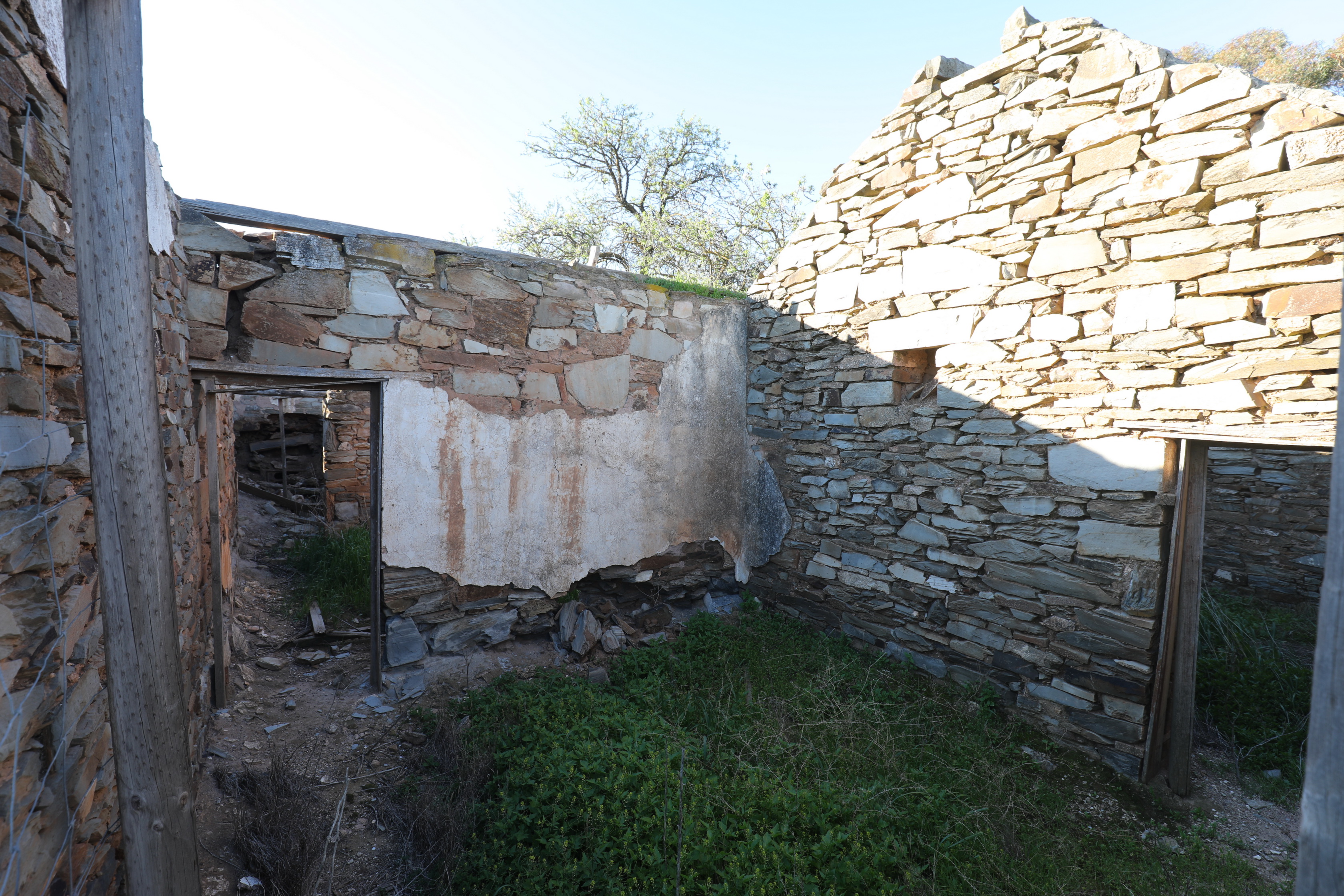 2019 08 30 16 37 52 Canon EOS 5D Mark IV 0019